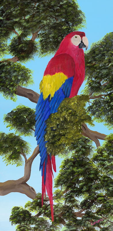 scarlet macaw, parrot, parrot head, colorful parrot