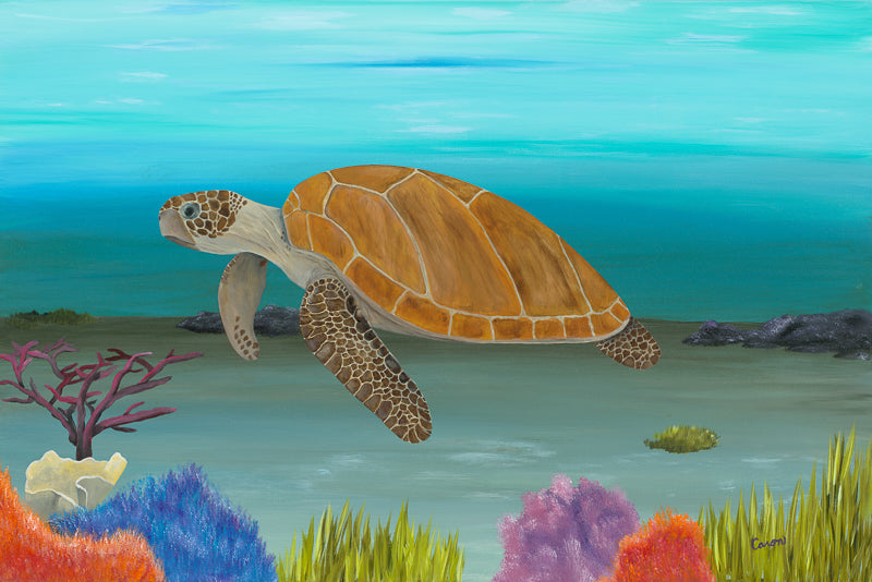 Sea turtel, ocean life, colorful underwater painting with turtle