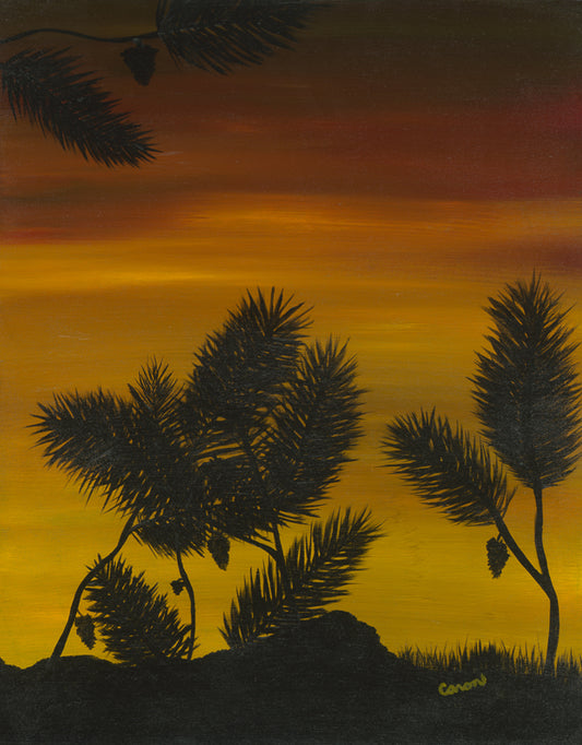 Pine Cones,