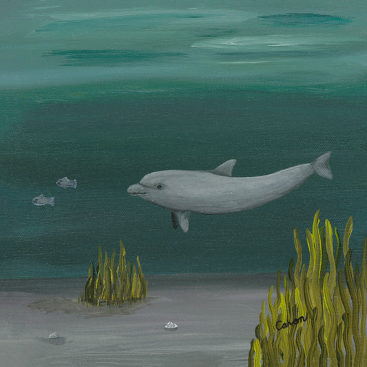 Dolphin painting, sea life