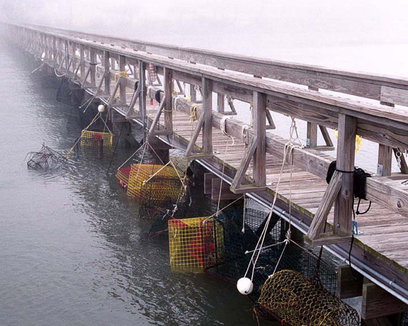 crab pots on a dock photograph