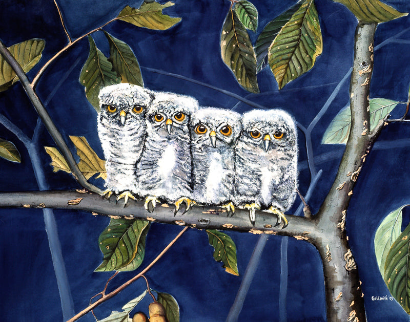 Hooters - Chip Goldsmith