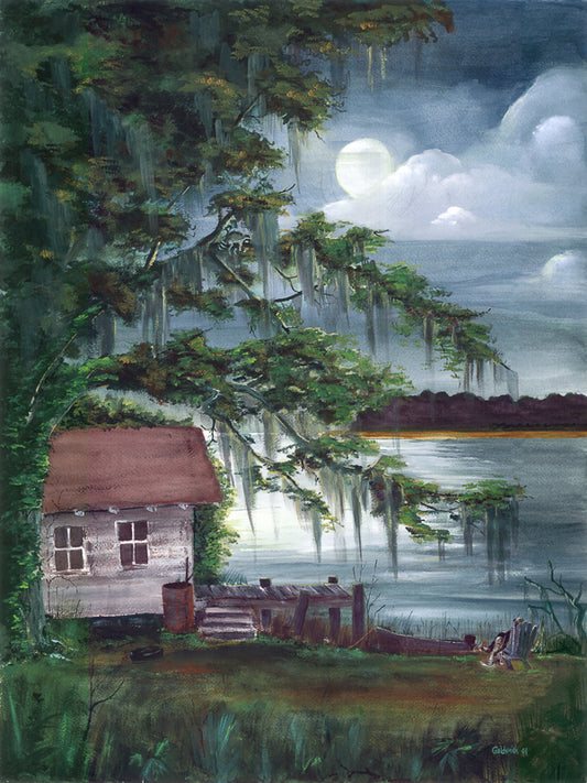 Moon Shadows - Chip Goldsmith