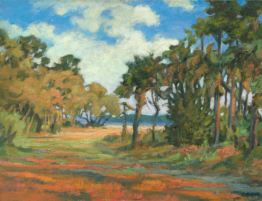 Lowcountry, marsh, scenic, hilton head, bluffton