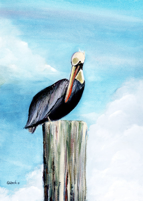 Pelican Post - Chip Goldsmith