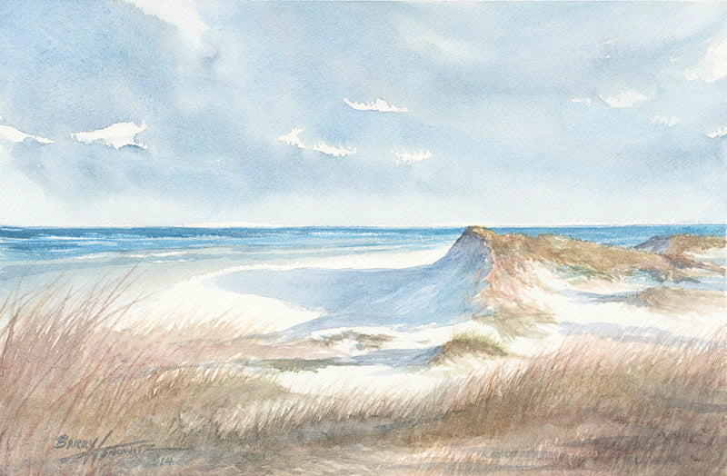 Sand Dune Hilton Head beach summer