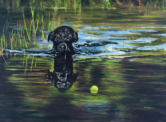 Smoke On The Water - Chip Goldsmith