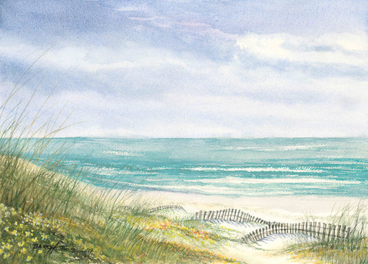 Hilton Head Dunes