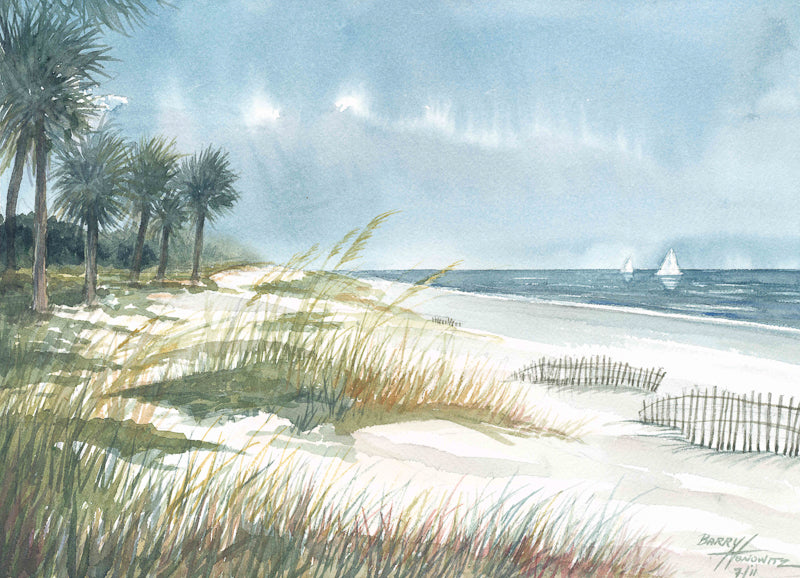 The Dune Line, Hilton Head Beach - Barry Honowitz