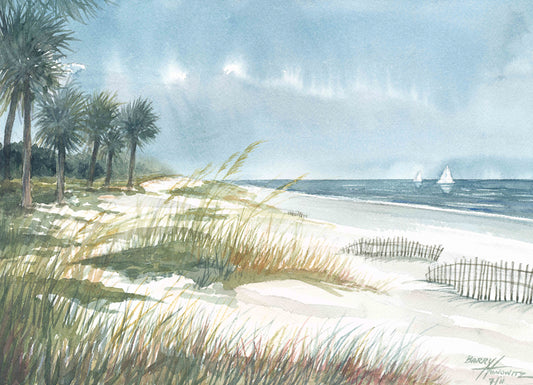 Beach, Hilton Head, dune