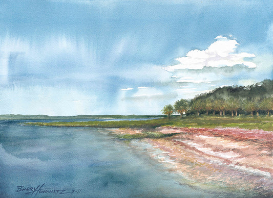 Low country beach, palm trees, Island