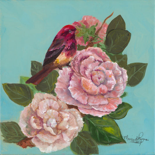 Purple Finch at Rest - Maria de Rojas