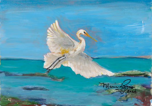 In Flight - Maria de Rojas