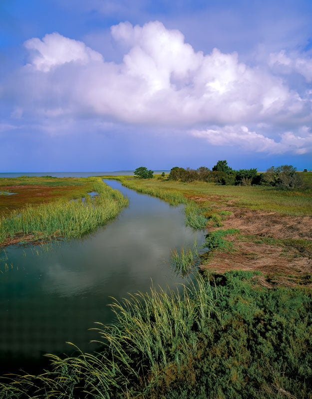 Bay Point Marsh Scenic - Eric Horan