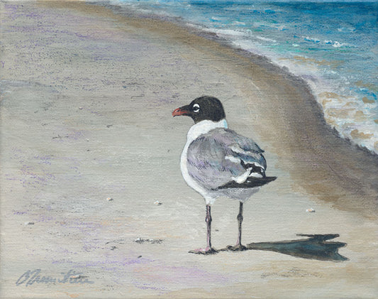 Beach Comber - Bill Tremitiere