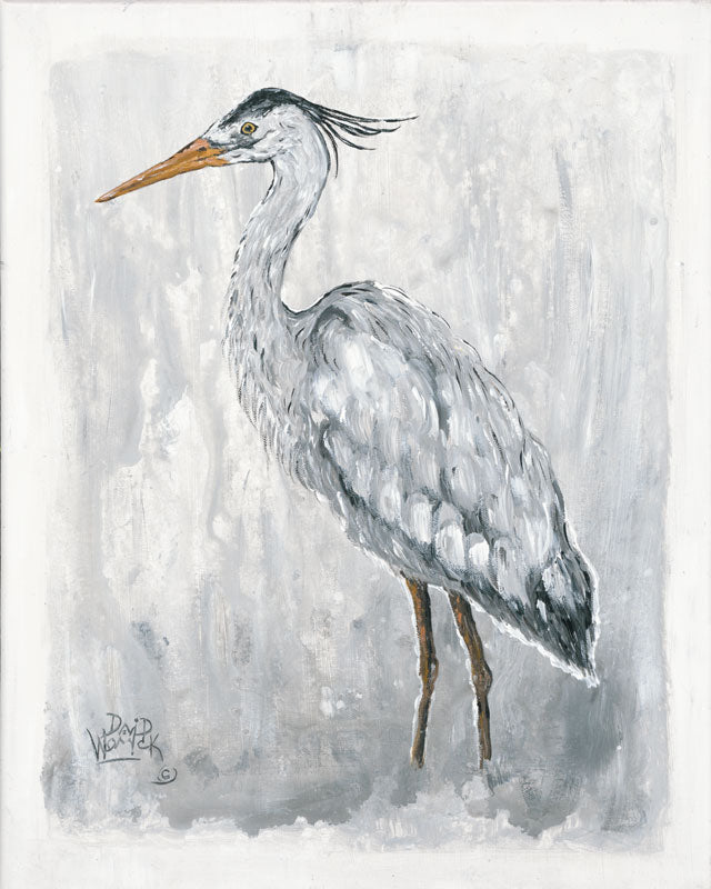 Blue Gray Heron - David Womick