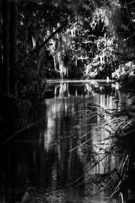 Bluffton Alljoy Wetlands - Pete Schramm