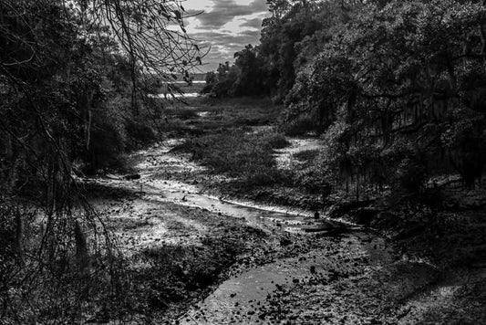 Bluffton Bridge St Cut 2 - Pete Schramm