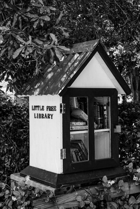 Bluffton Bridge St Library - Pete Schramm