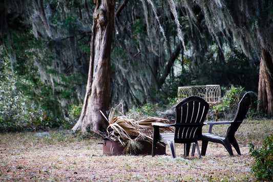 Bluffton Fire Pit Detritus - Pete Schramm