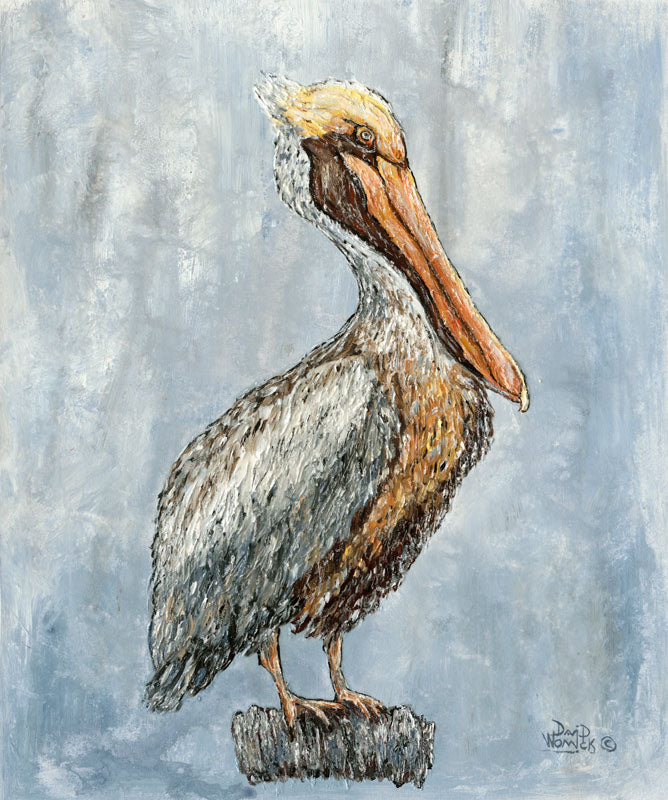 Brown Pelican - David Womick
