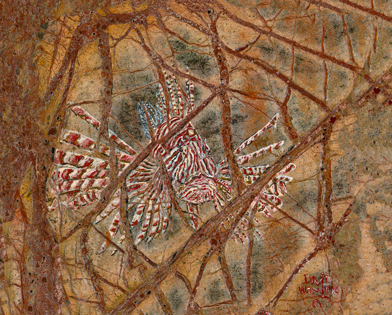 Caged Lion Fish - David Womick