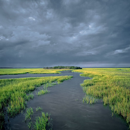 Chechessee River Scenic - Eric Horan