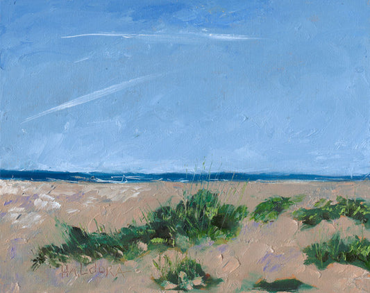Coast Dunes - Haldora