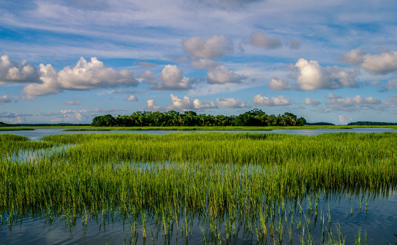 Corn Island - Eric Horan