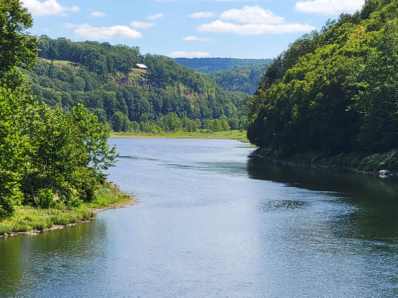 Delaware River - Stephen Annese