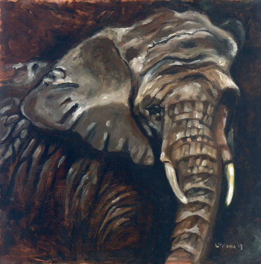 Elephant 2 - Lunonia Colella