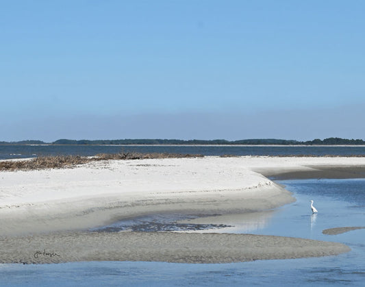 Fish Haul Egret - Joan Dwyer