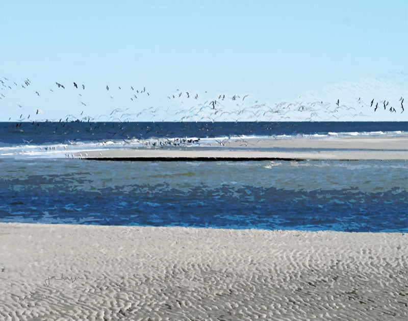 Fish Haul Skimmers - Joan Dwyer