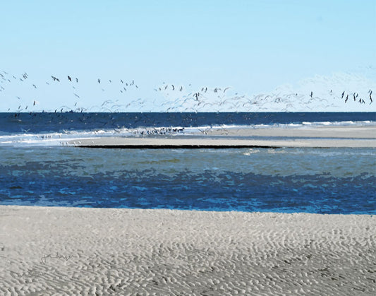Fish Haul Skimmers - Joan Dwyer