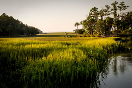 Grass to the Horizon - Pete Schramm