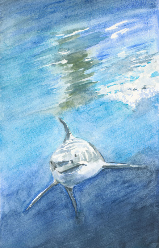 Great White - Kitt Dobry