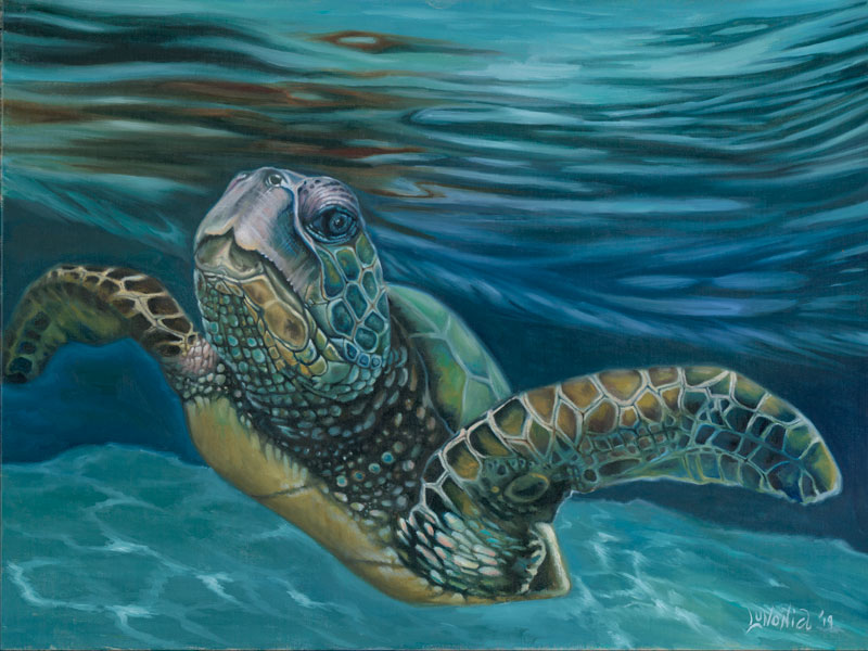 Greg Turtle Greg the Turtle - Lunonia Colella – Art and Giclee Gallery