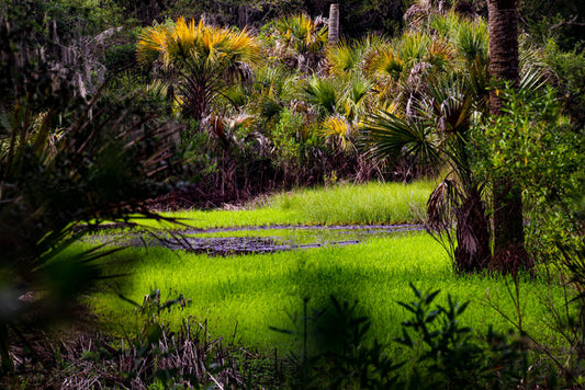 Groundwater Sanctuary - Pete Schramm