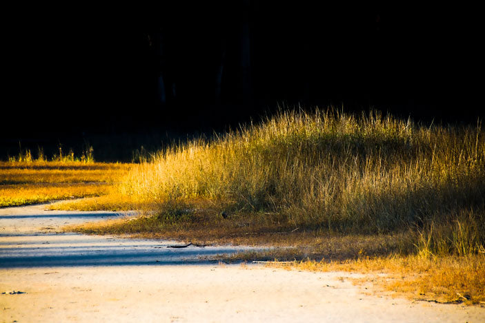 HHI Beach Sunrise - Pete Schramm