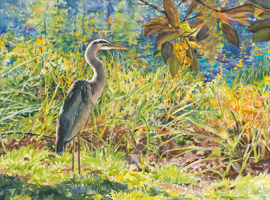 Heron of Many Colors - Jennifer Wharton