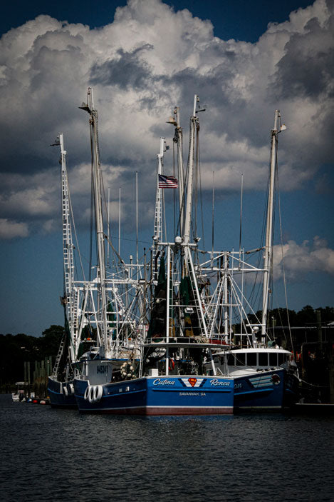 Hudson's Crowded Dock - Pete Schramm