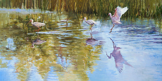 Ibis in the Morning - Jennifer Wharton