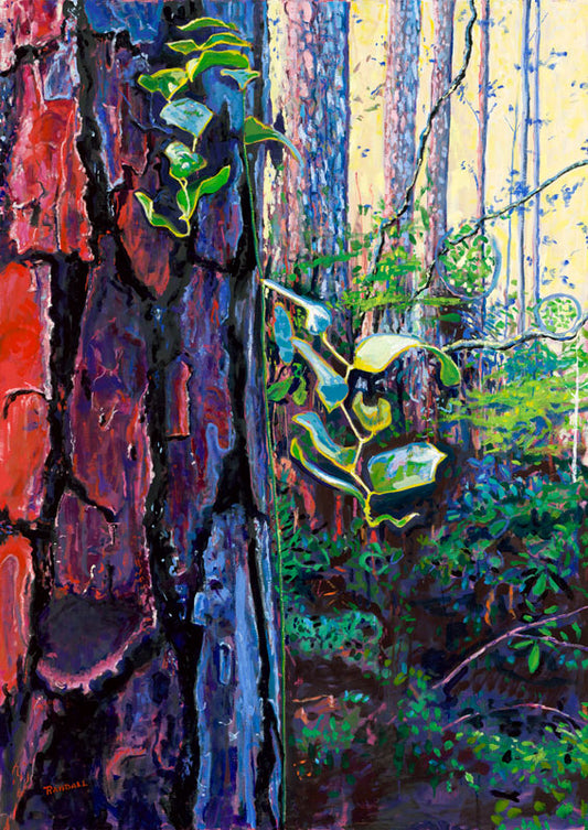 In the Pines - Dave Randall