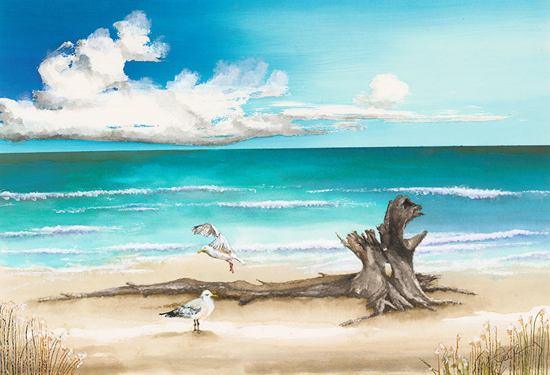 Beach, seagulls, driftwood, summer