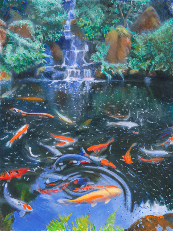 Koi, Koi Pond, waterfall, fish