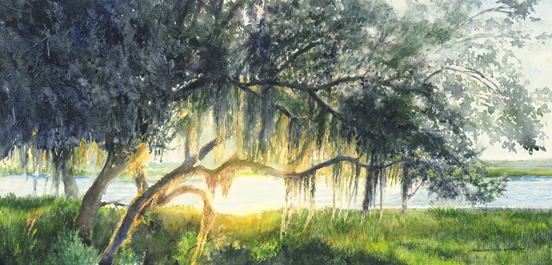 Live Oak Glow - Jennifer Wharton