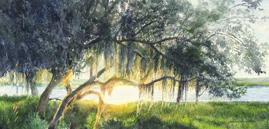 Live Oak Glow - Jennifer Wharton