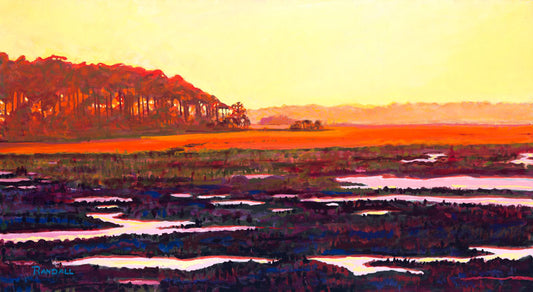 Low Tide - Dave Randall