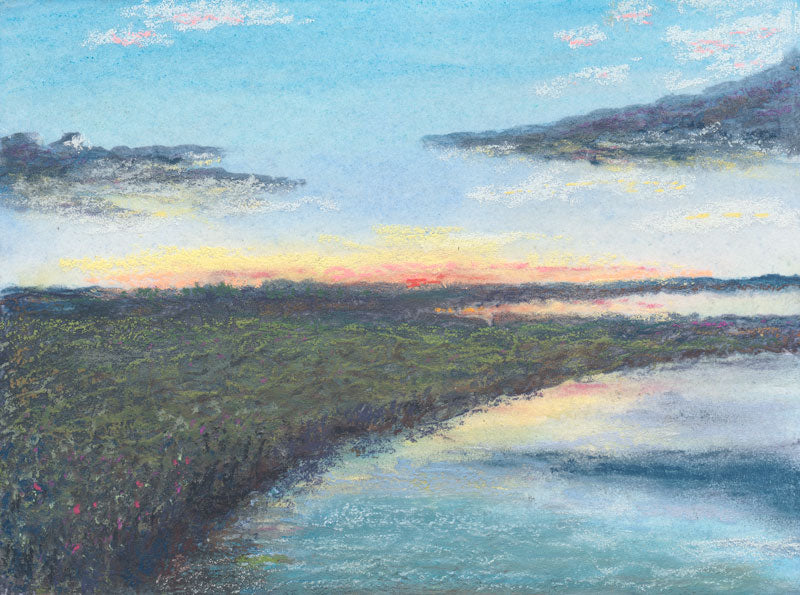 Marsh 2 - Bill Tremitiere