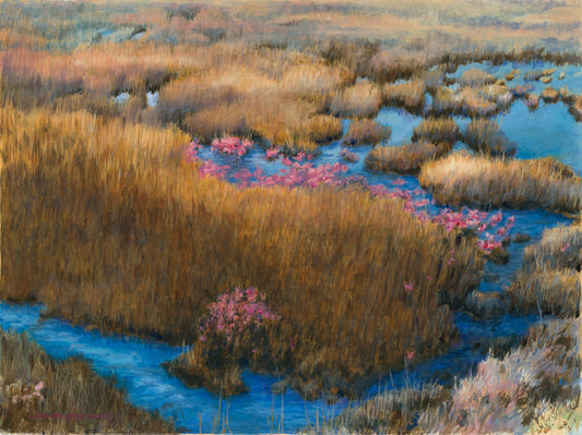Marsh Blooms II - Jennifer Wharton